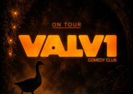 VALV1 Comedy on Tour på Grå Gåsen